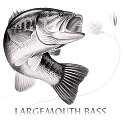 LARGEMOUTH BASS 02794SA2.gif